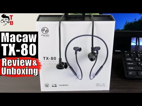 Macaw TX-80 REVIEW: I Can't Believe This Bluetooth Headphones Are Only $35