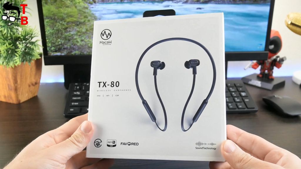 Macaw TX-80 REVIEW In-Depth: Sports Bluetooth Headphones