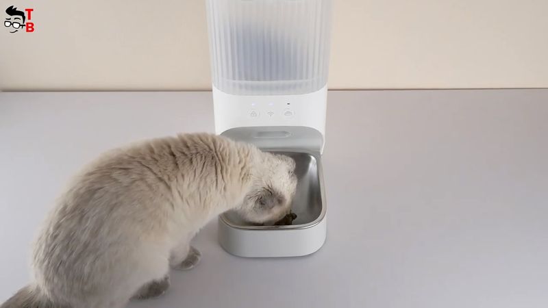 KALADO Smart Automatic Pet Feeder REVIEW: My Cat Loves It!