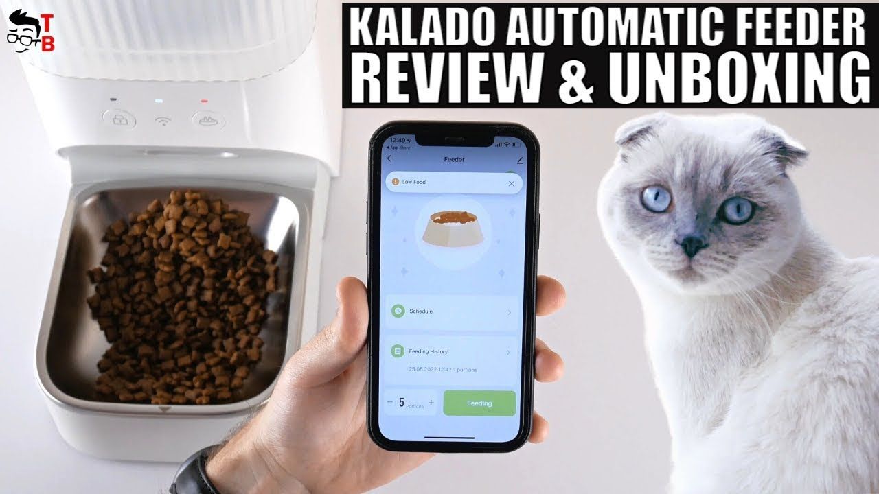 My Cat Loves It! KALADO Smart Automatic Pet Feeder REVIEW