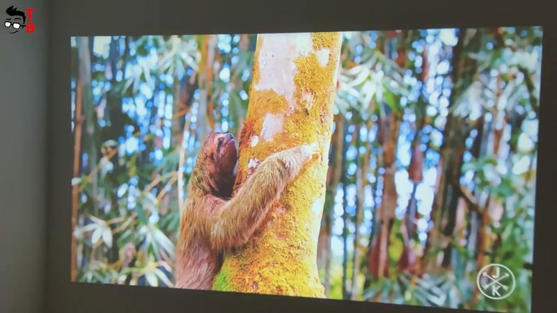 SOPYOU P2 REVIEW: Only $69 Native Full HD Projector - How Is It Possible?
