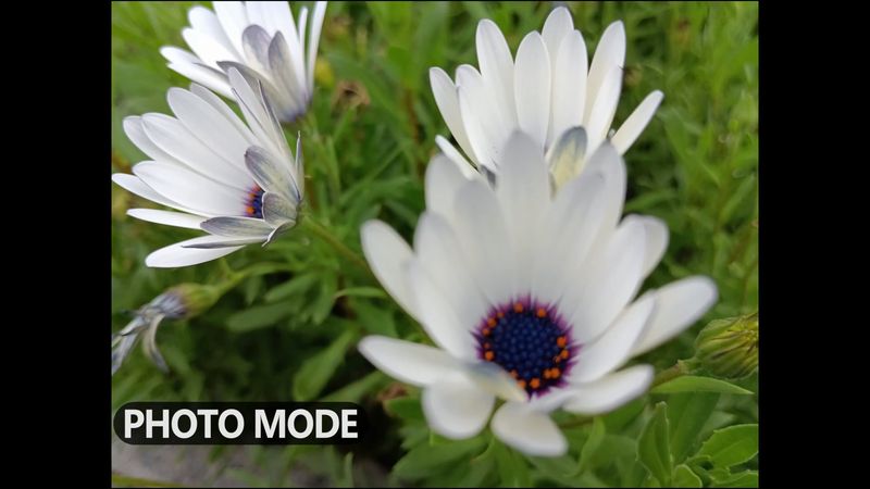 Photos and Videos Now, I will show you the sample photos. First, I took some photos in a normal Photo mode and 50MP mode. To me, the pictures with 50MP resolution look better. Do you agree? As I already said, POCO M5 also has macro and depth cameras on the rear panel. The photos in portrait mode look pretty good. You know, it looks like the macro camera is not fake. The macro pictures are very nice. 5MP front camera is enough to take good selfies. If you want to take photos in low light conditions, then it is better to choose a Night mode. The pictures in the night mode are brighter and more detailed. Finally, let’s watch some videos taken on POCO M5. Unfortunately, the smartphone doesn’t have image stabilization, so the videos are a little shaky. However, they are good quality. By the way, I had cloudy weather when I tested the camera, and I think that in a sunny weather the photos and videos quality will be even better. Battery Test Now, we can do a battery test of POCO M5. As usual, I will test a video playback time on a single charge. The videos play on YouTube via Wi-Fi, as well as at maximum screen brightness. The battery life of the new POCO phone is СКОЛЬКО hours and СКОЛЬКО minutes. As I already said, POCO M5 has 22.5W power adapter, but the smartphone supports 18W fast charging. You know, I have noticed that one percent of the battery level charges in one minute. The full battery charge takes СКОЛЬКО hours and СКОЛЬКО minutes. Speaker As for the speaker of POCO M5, it is single, and it is located at the bottom of smartphone. I would like the smartphone to have a dual speaker, but a single speaker of POCO M5 sounds good. Connectivity The new POCO smartphone has a slot for dual SIM, but they only support 4G networks. You know, it is not a big problem for me, because there are no 5G networks in my country yet, but you should pay attention to this before buying the smartphone. There is also Bluetooth 5.3 and dual-band Wi-Fi support. An important function of any smartphone for me is NFC. POCO M5 has NFC, so you can use it for contactless payment. Pros and Cons So, I have been testing the smartphone for about a week, and I can tell you what I like and dislike about it. Pros Design Like the other Poco phones, the new POCO M5 has a nice design with leather-like texture and glossy plastic on the rear panel. I have a black color version, but the smartphone is available in a yellow color, and I think it looks great. There is a fingerprint reader, 3.5mm audio jack, IR blaster, USB Type-C charging port, and hybrid slot for dual SIM and microSD memory card in a new smartphone. Display The display of POCO M5 has a diagonal of 6.58 inches and Full HD+ resolution. One of the main features of this mobile device is 90Hz refresh rate. The difference between 60Hz and 90Hz is really visible, but don't forget that a higher refresh rate wastes more battery power. Performance You know, I agree that POCO M5 is a budget gaming smartphone, because it has good benchmarks results, as well as good performance in games. You can play any games, and the smartphone will not slow down or heat up. I think Dimensity G99 is a good processor for budget phone. Camera The camera of POCO M5 has 50MP main sensor, 2MP macro sensor and 2MP depth sensor. I like the macro and portrait photos, as well as pictures on the main camera. For a budget smartphone, the camera quality is really good. Battery As for the battery of POCO M5, it has a capacity of 5000mAh. The playtime on a single charge is very long – СКОЛЬКО hours and СКОЛЬКО Minutes. The full battery charge takes about СКОЛЬКО hours and СКОЛЬКО minutes, and I think it is OK for a budget phone with 18W fast charging support. NFC You know, NFC is very important for me, and I am glad that POCO M5 has it. Cons No 5G Talking about drawbacks of the new POCO smartphone, first, I want to mention the lack of 5G networks support. You know, it is not a big problem for me, because there are no 5G networks in my country yet, but if you need 5G support, then probably this phone is not for you. By the way, the previous POCO M4 Pro has a processor with 5G support. No Ultra-Wide Angle I also miss the wide-angle camera on the new POCO phone. Yes, there are macro and bokeh cameras, but I wished there was a wide-angle camera instead of those two. No Video Stabilization Perhaps the biggest problem of POCO M5 is a lack of video stabilization. You have to try hard to make good videos. Single Speaker By the way, I also do not understand why the smartphone has only single speaker. We know that many budget smartphones from Xiaomi and Redmi have dual speakers, but here there is only one. Overall, for the price of $150, POCO M5 is a good smartphone, especially for games, because it has a good performance, 90Hz display and a big battery.