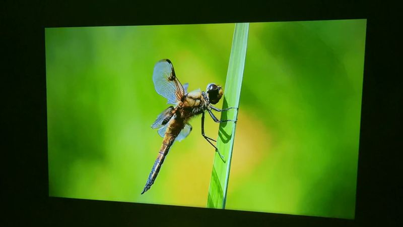 CIBEST G1 REVIEW: Android TV Projector For Home Cinema 2022!