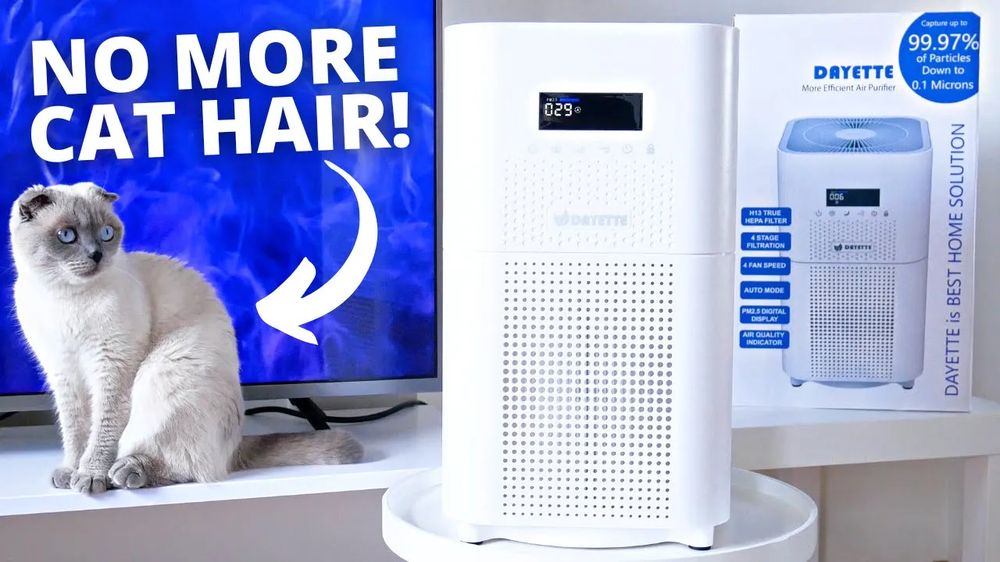 Is Air Purifier Really Good Against Pet Hair and Allergens? Dayette AP401 REVIEW