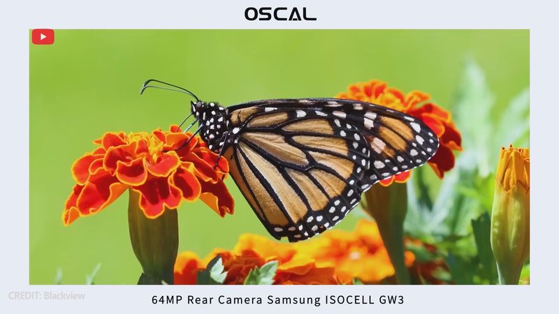 OSCAL TIGER 12 PREVIEW: Why Is This Smartphone So Cheap?