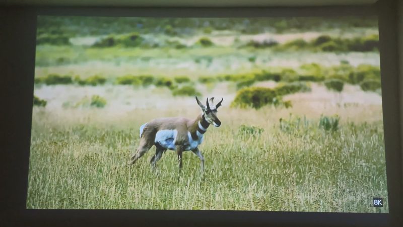 AAXA SLC450 REVIEW: Mini Projector Makes a Huge Screen in a Short Distance!